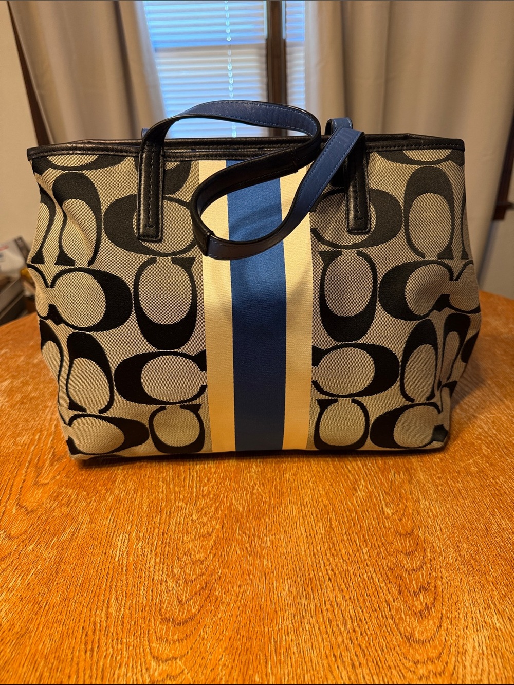 Coach Signature Canvas Tote with Blue and Cream Stripe